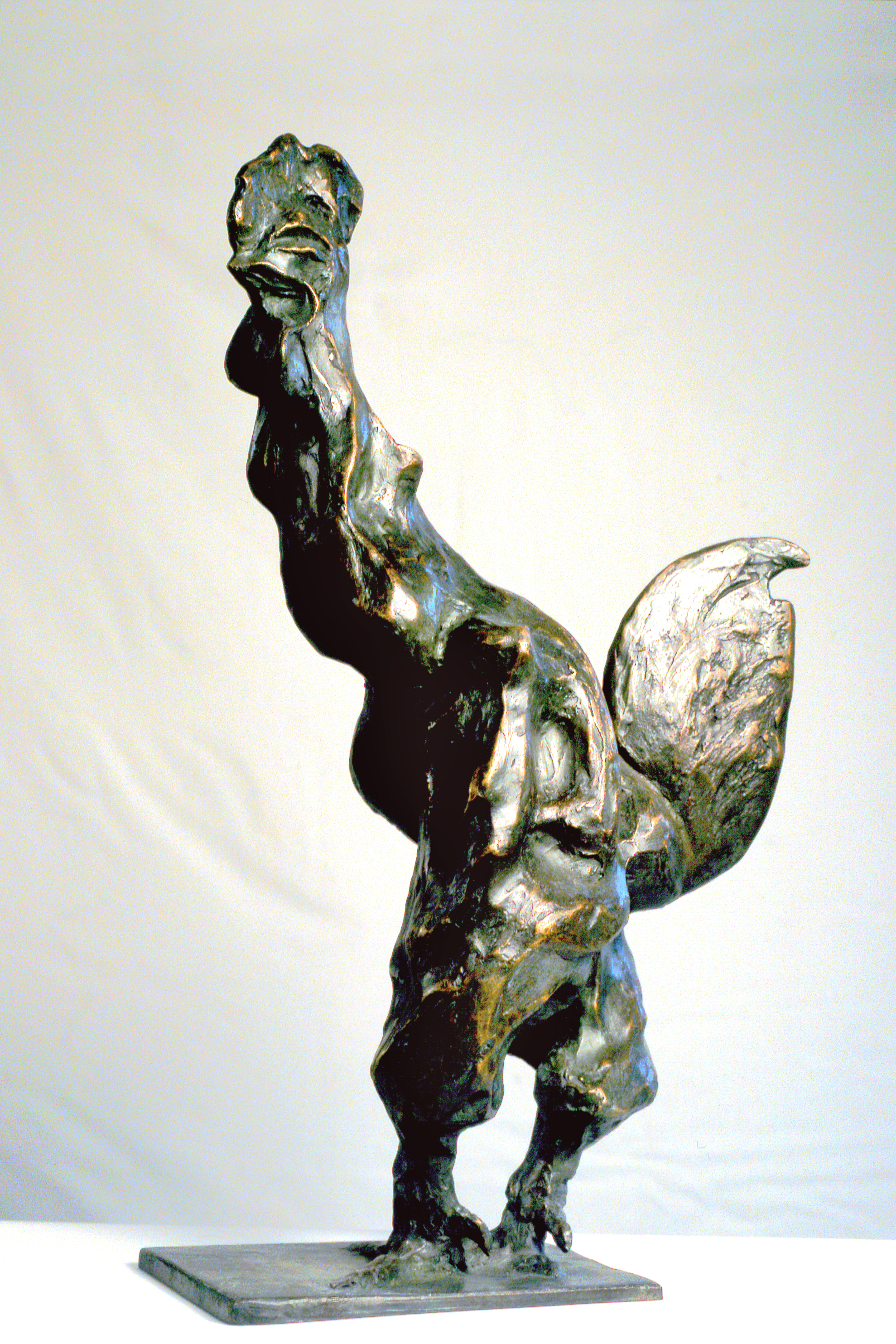 Il Coq de Beppe, dettaglio della scultura